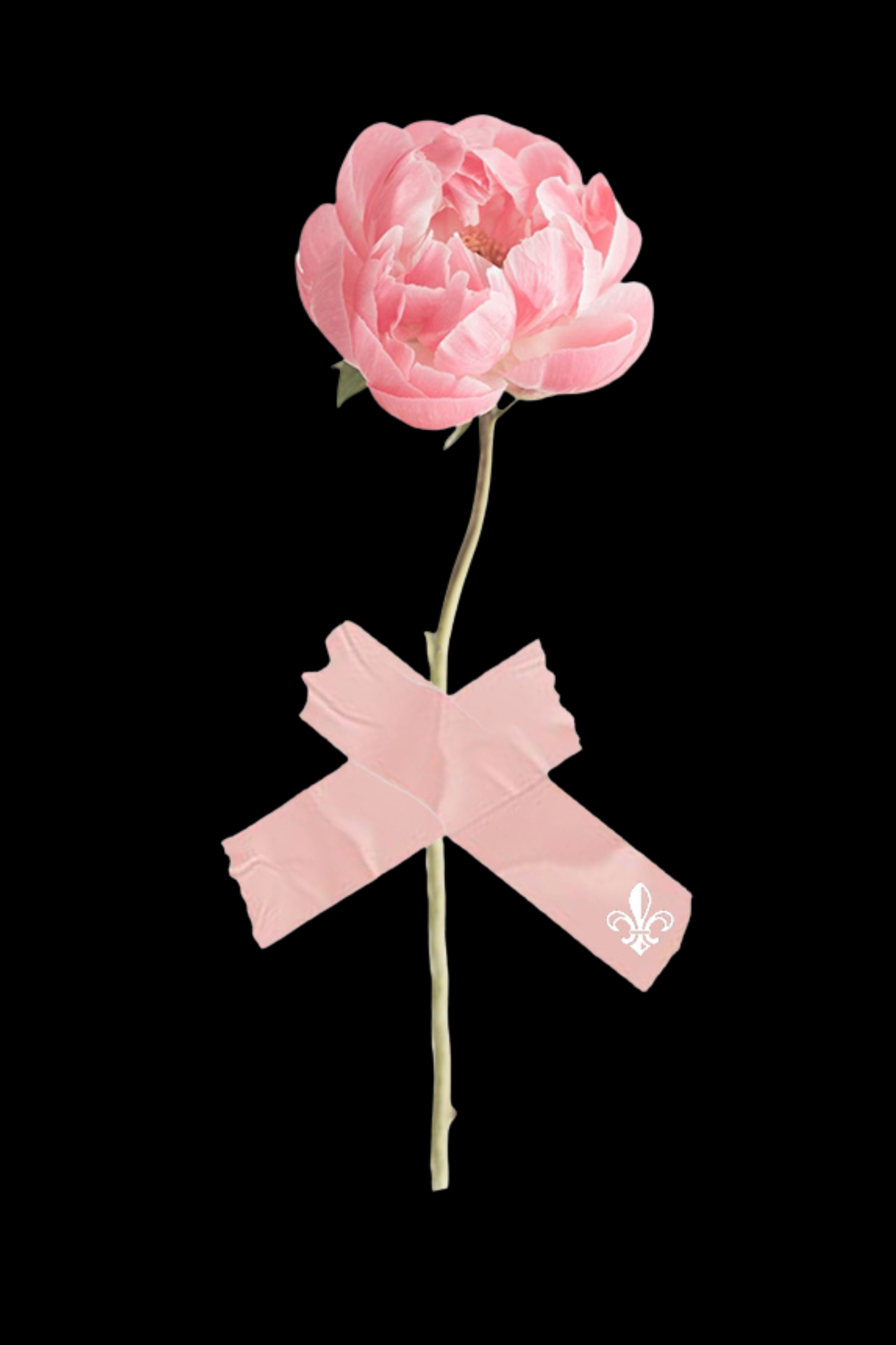 Peony Pop Top - Relax tee - Preorder