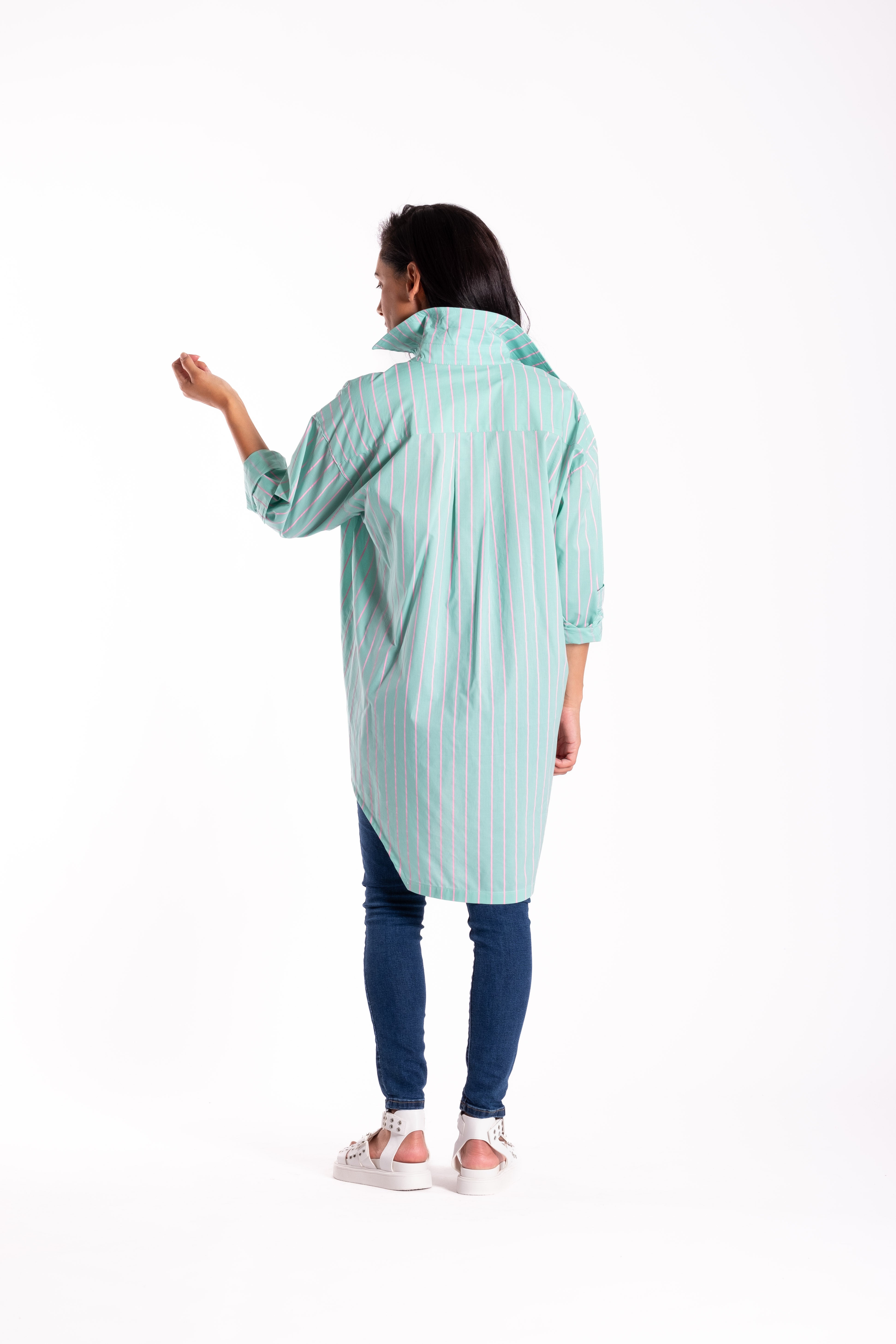 Professor Shirt Mint/Pink Stripe